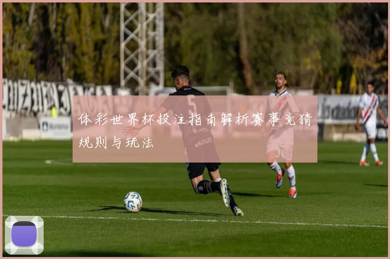 体彩世界杯投注指南解析赛事竞猜规则与玩法
