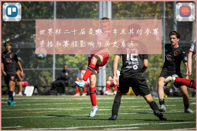 世界杯二十届是哪一年及其对参赛资格和赛程影响与历史看点