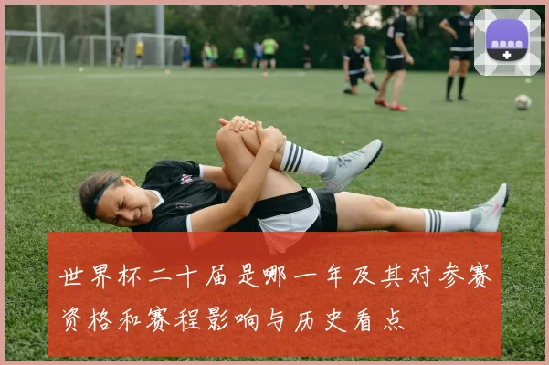 世界杯二十届是哪一年及其对参赛资格和赛程影响与历史看点