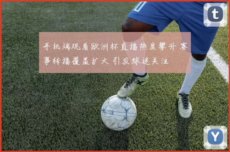 手机端观看欧洲杯直播热度攀升 赛事转播覆盖扩大 引发球迷关注