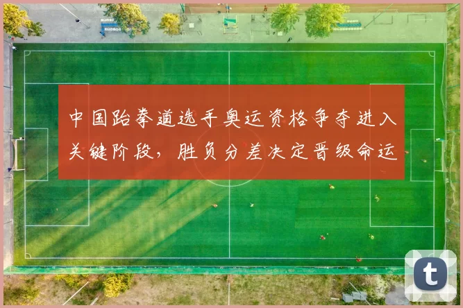 中国跆拳道选手奥运资格争夺进入关键阶段，胜负分差决定晋级命运