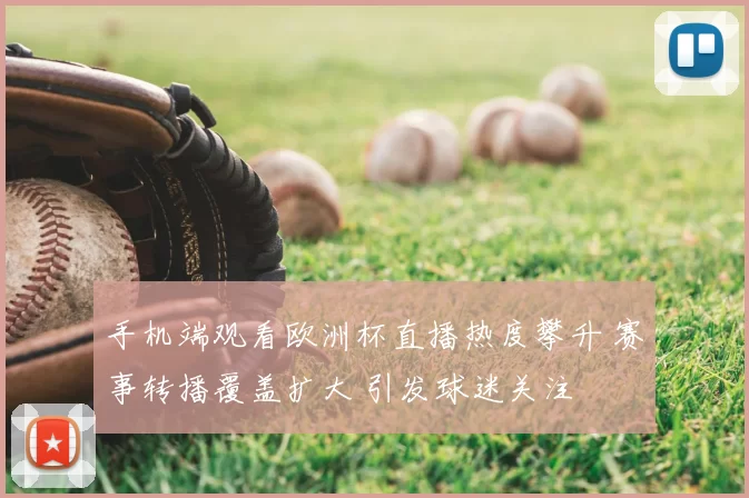 手机端观看欧洲杯直播热度攀升 赛事转播覆盖扩大 引发球迷关注