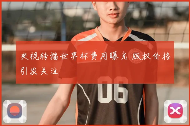 央视转播世界杯费用曝光 版权价格引发关注