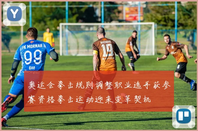 奥运会拳击规则调整职业选手获参赛资格拳击运动迎来变革契机