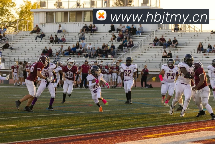 beat·365(中文) - 唯一官方网站平台生态图